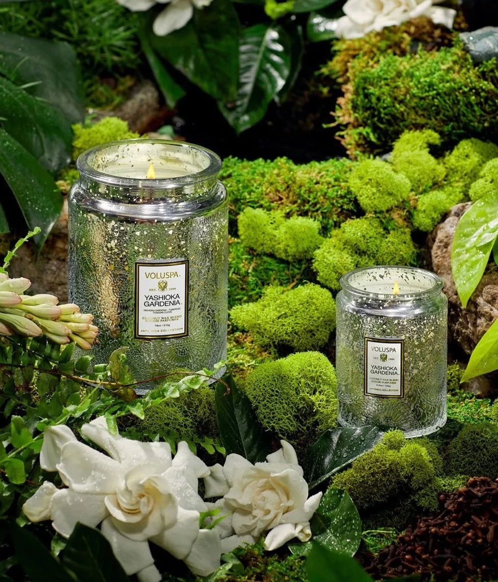 VOLUSPA žvakė Japonica, 156g