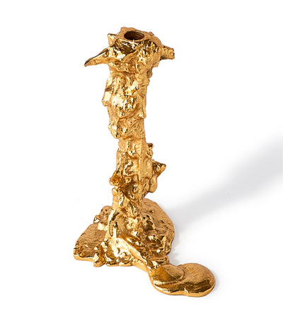 Žvakidė Polspotten Gold L