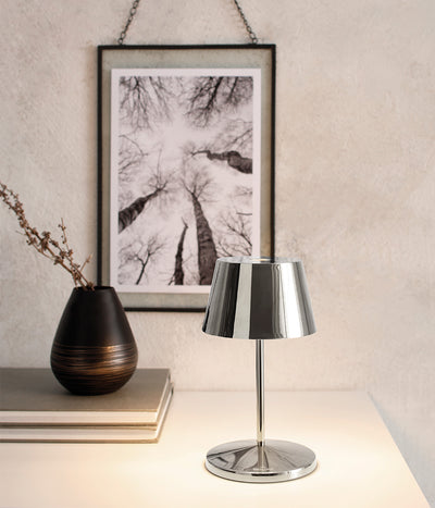 Šviestuvas Shiny Silver 20 cm