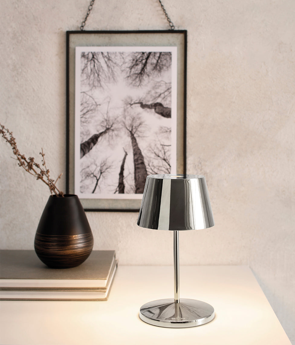 Šviestuvas Shiny Silver 20 cm