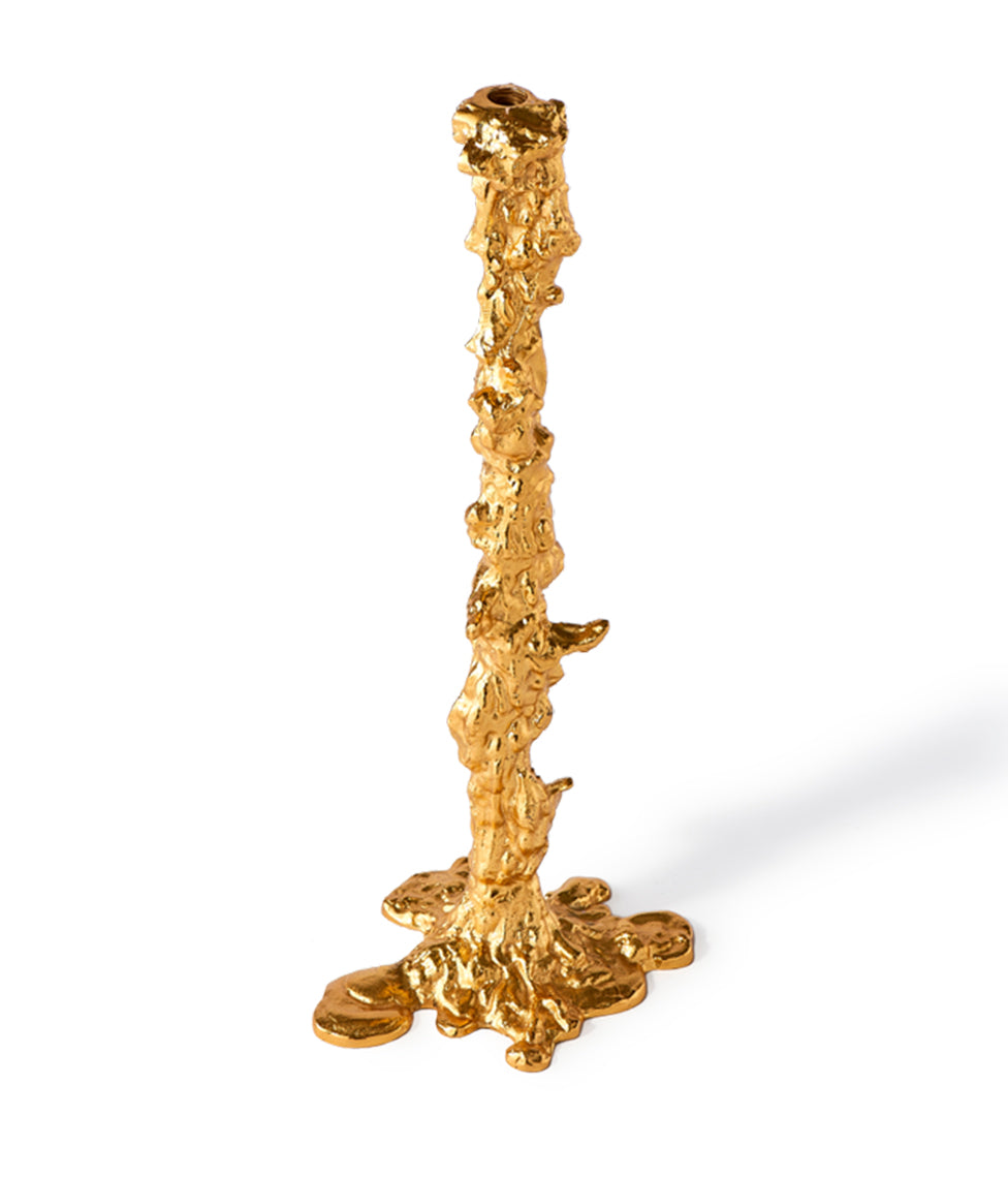 Žvakidė Polspotten Gold XXL