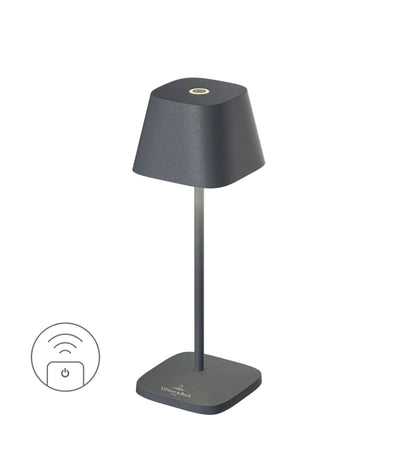 Šviestuvas Neapel Micro RC Anthracite - 20cm (antracito), 4 nuotrauka