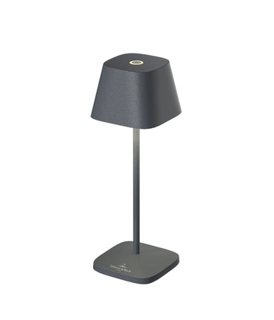 Šviestuvas Neapel Micro RC Anthracite - 20cm (antracito)